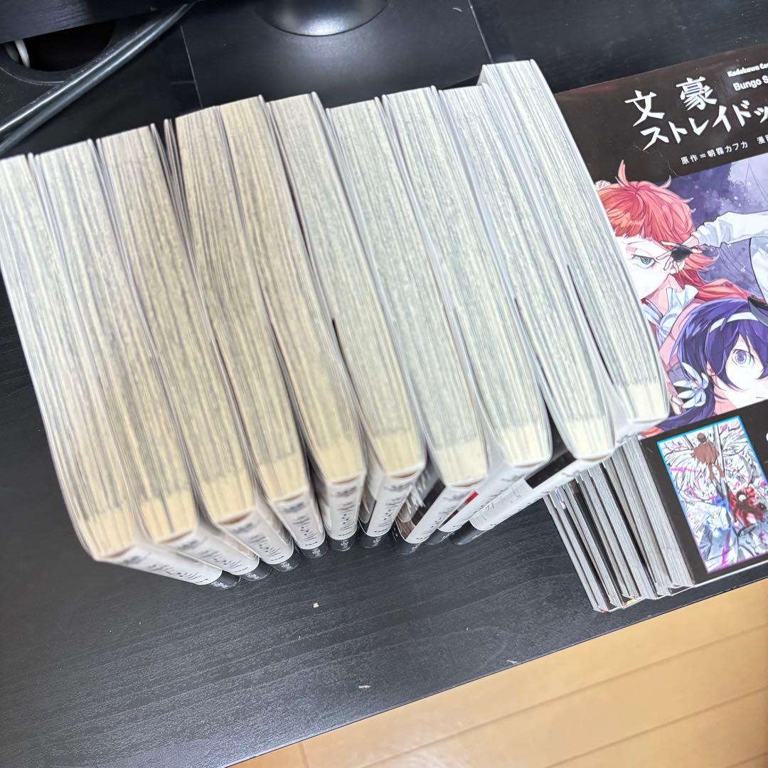 文豪ストレイドッグス　漫画