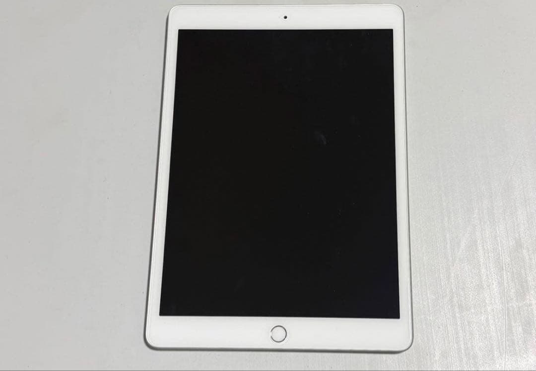 Apple iPad (第7世代) 32GB シルバーMW752J/A