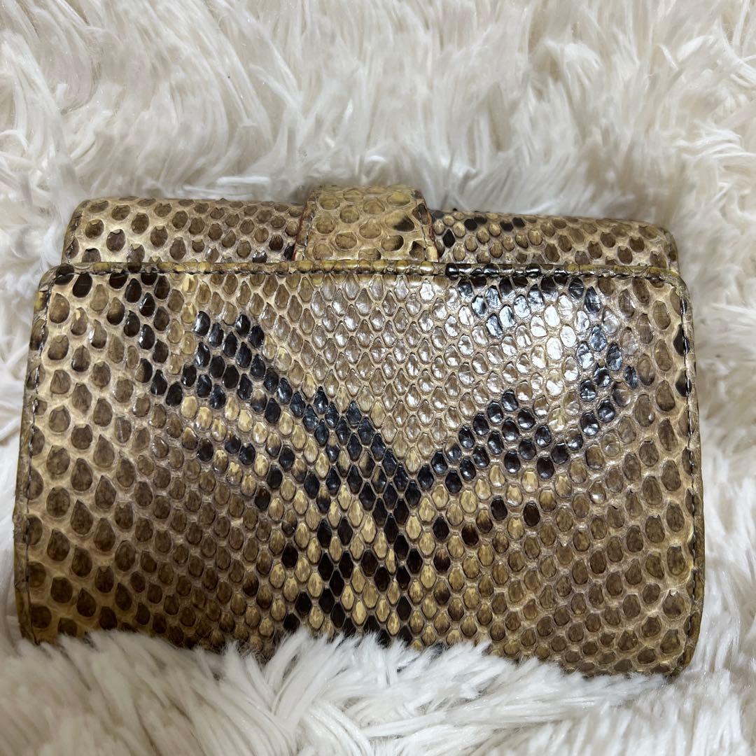 isolaパイソン財布　本革　ジャバラ　コロコロ財布　アイソラ