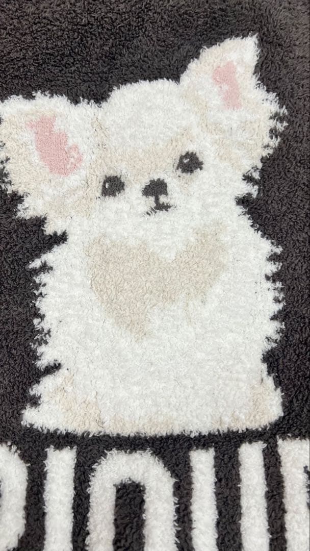美品　ジェラートピケ　チワワ　ジャガードワンピース　もこもこ　DOG　ジェラピケ