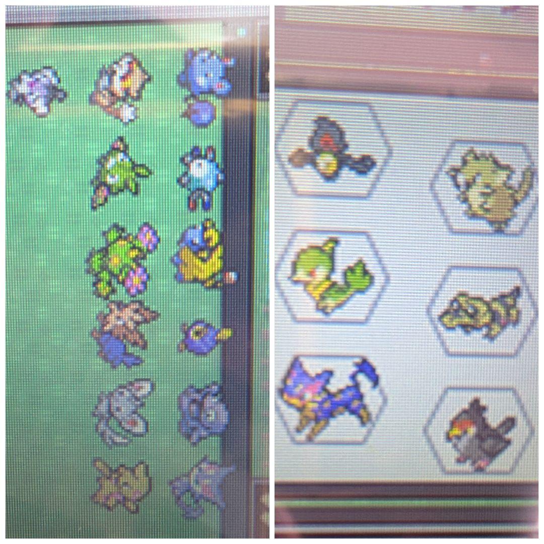 ポケモン DSカセット まとめ売り