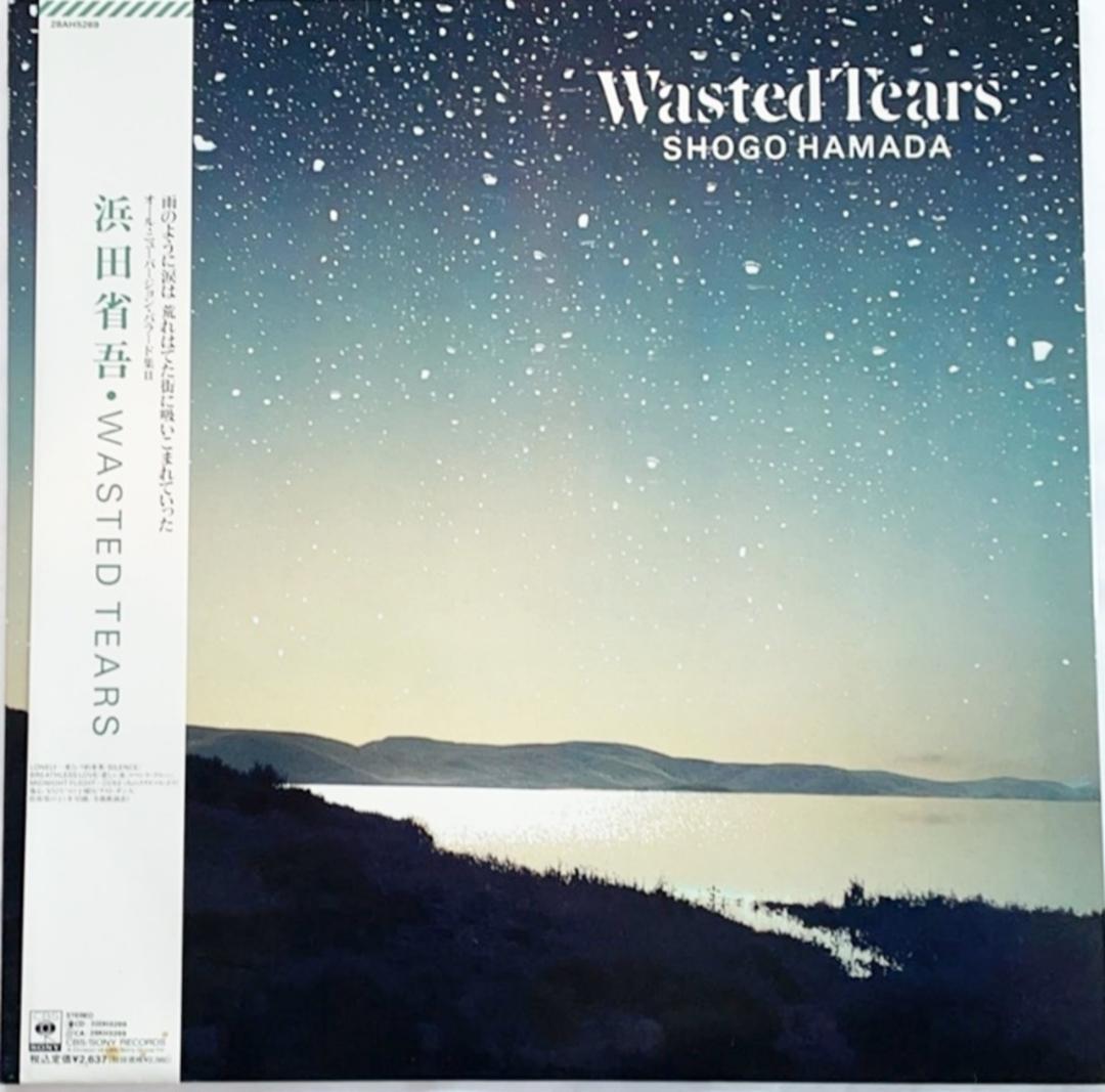 中古レコード　浜田省吾　Wasted Tears オールニューバージョン
