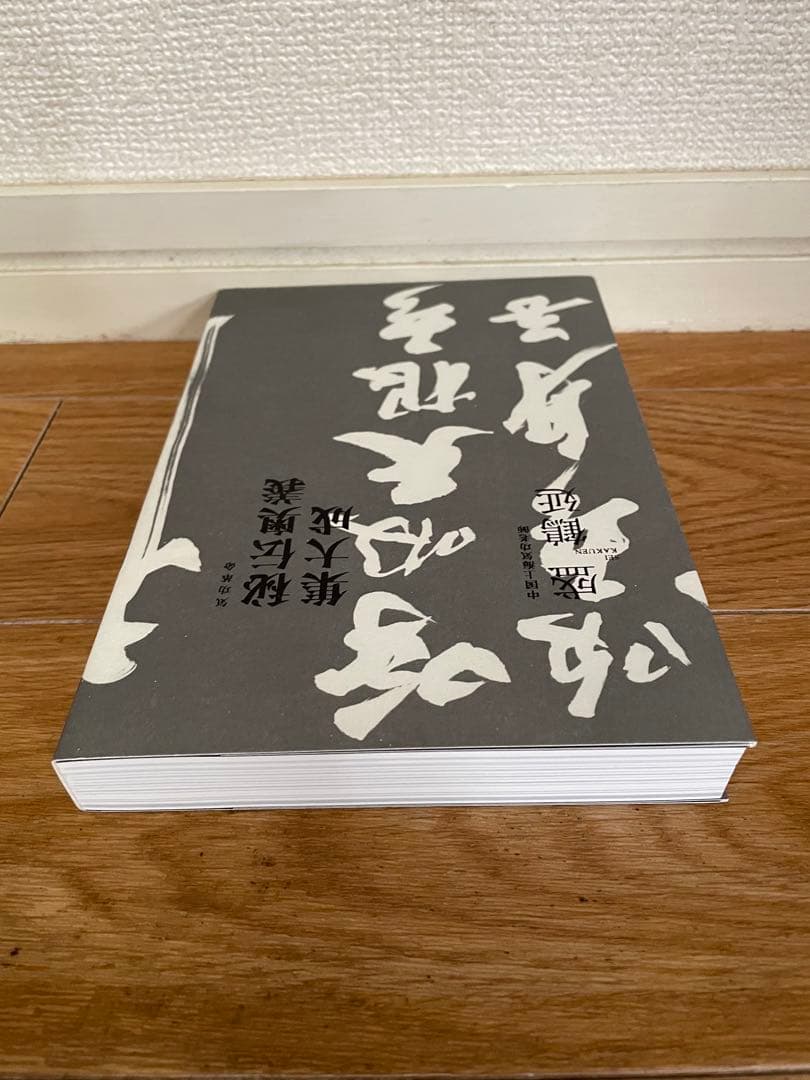 気功革命 秘伝奥義 集大成: 著者自ら出演・解説するⅮVⅮ2枚組付