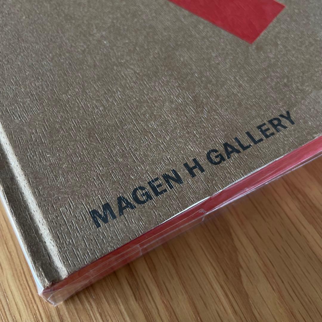 新品未使用 PierreChapo 写真集