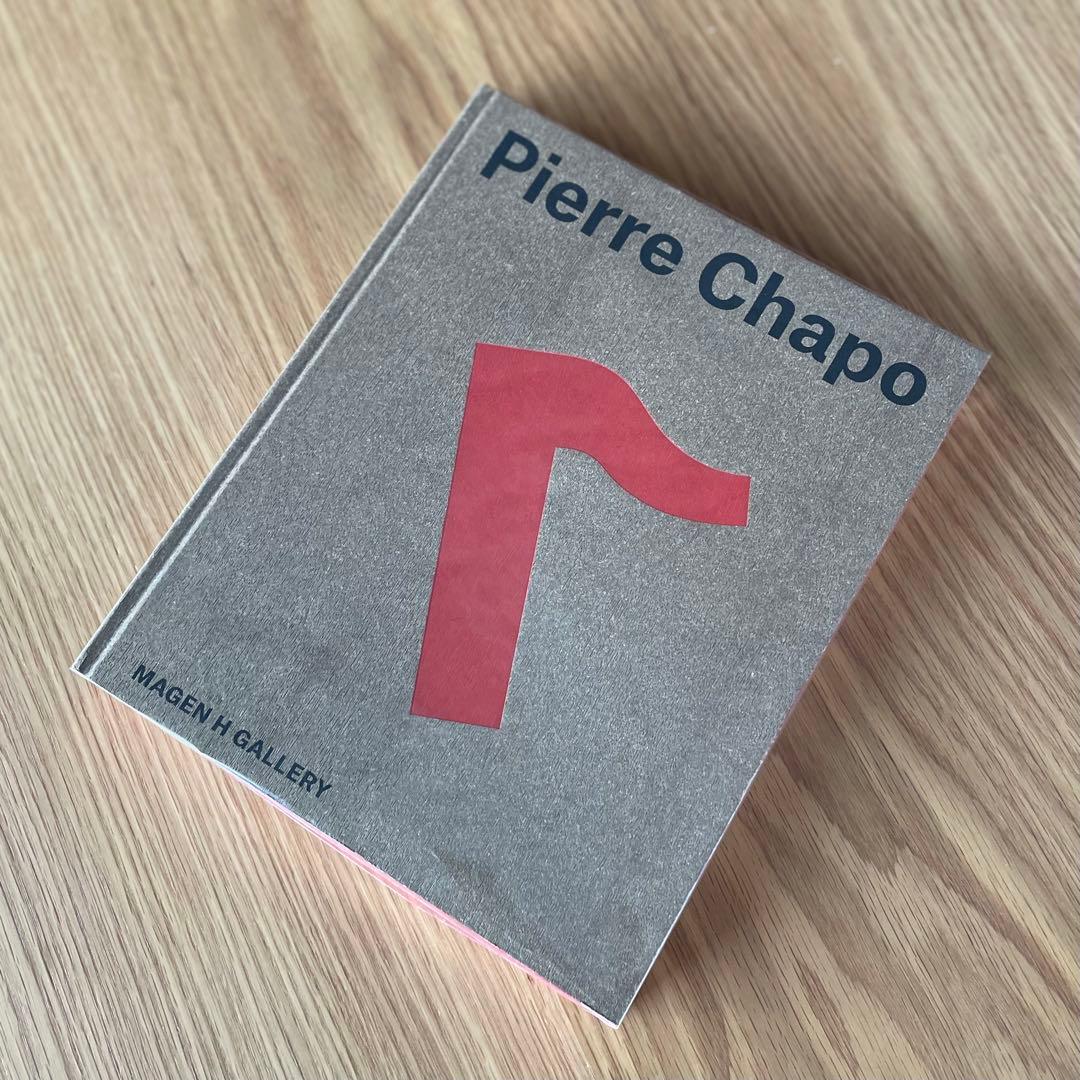 新品未使用 PierreChapo 写真集