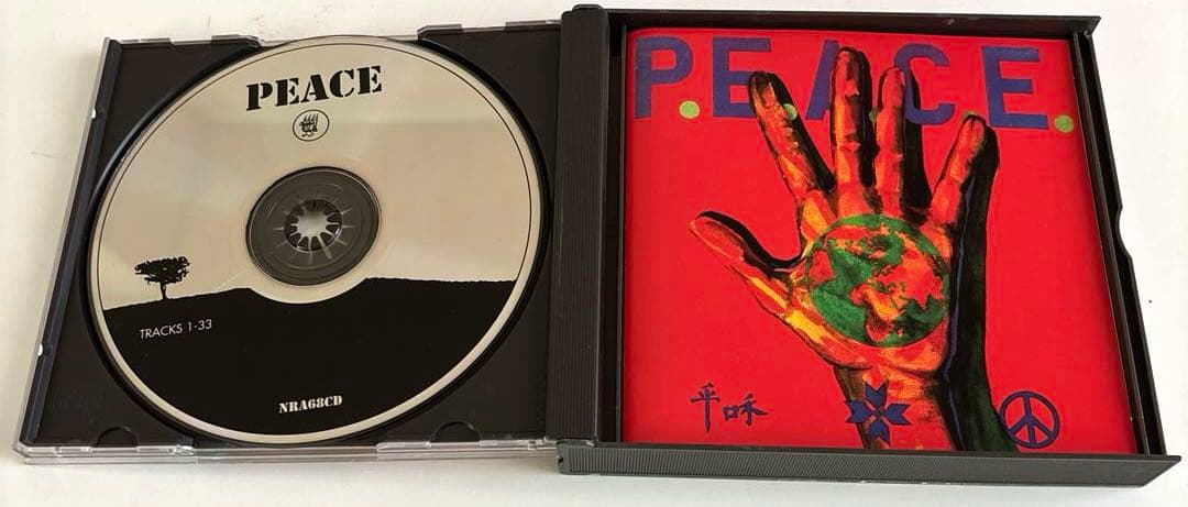 洋楽 P.E.A.C.E./WAR /Rare Hardcore Punk Comp