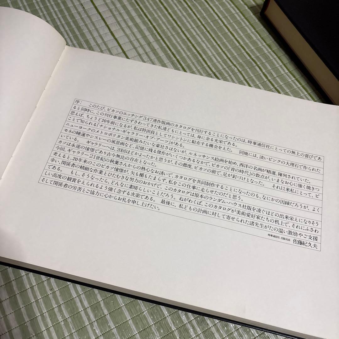 Picasso347 ピカソ版画集　芸術　絵　絵画　本　参考資料