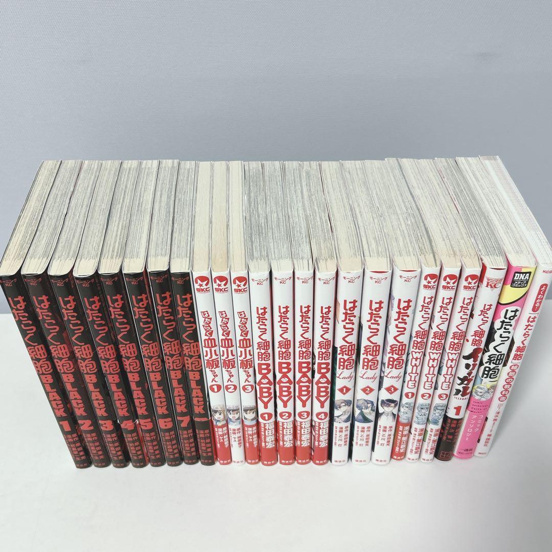 【売り切りセール3000円引 】はたらく細胞 シリーズ 49冊セット