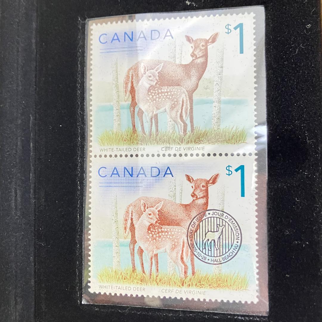 カナダ造幣局発行 オジロジカの親子 記念＆切手セット 2005年