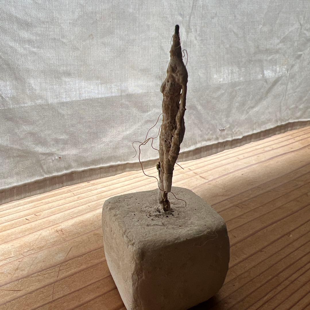立花英久　塑像