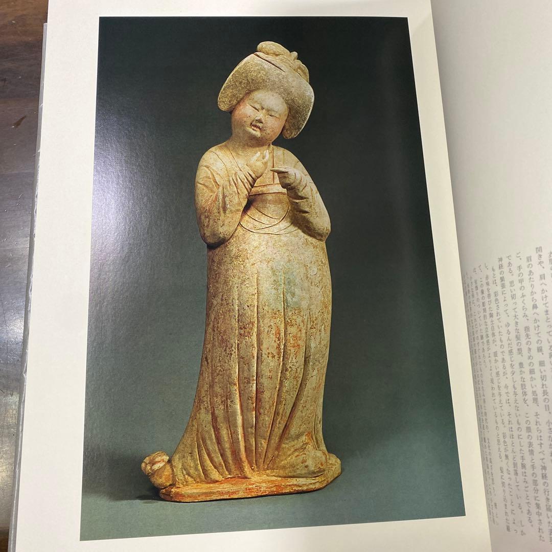 美の美百選　圓城寺次郎編