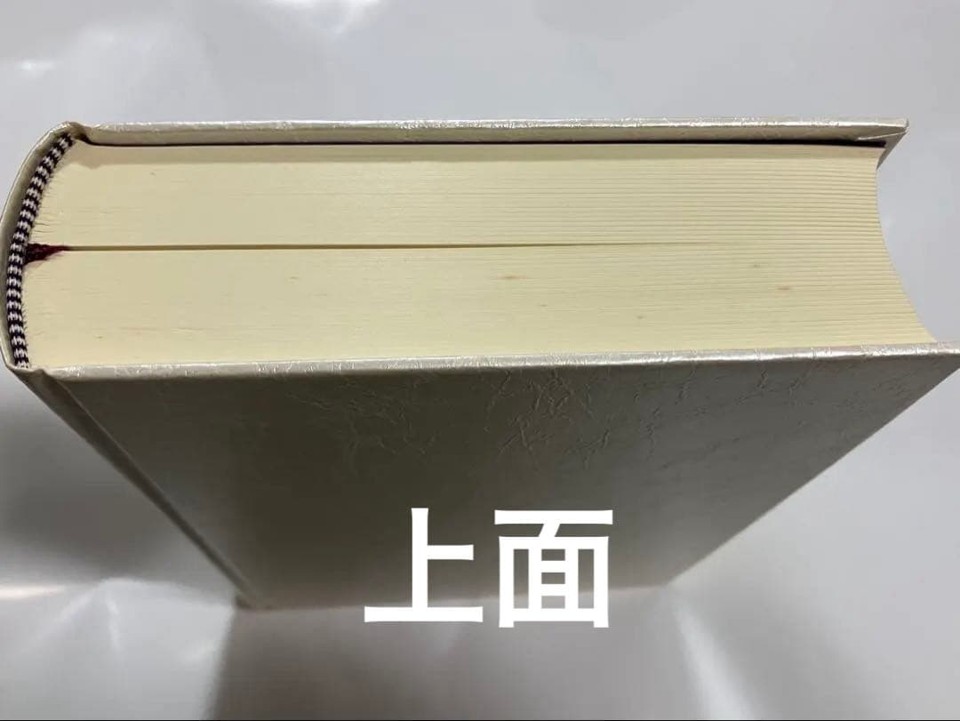 JUNE全集第7巻 尾鮭あさみ 吉野さくら 嶋田双葉 購入特典リーフレット 絶版