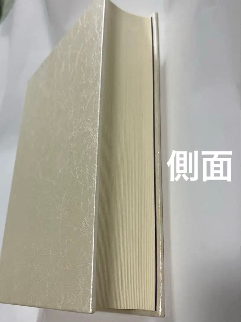 JUNE全集第7巻 尾鮭あさみ 吉野さくら 嶋田双葉 購入特典リーフレット 絶版