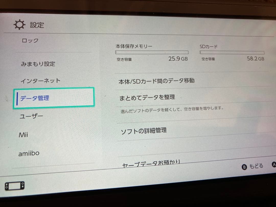 Switchライト　64ギガメモリとケース付き　初期化済み　中古品