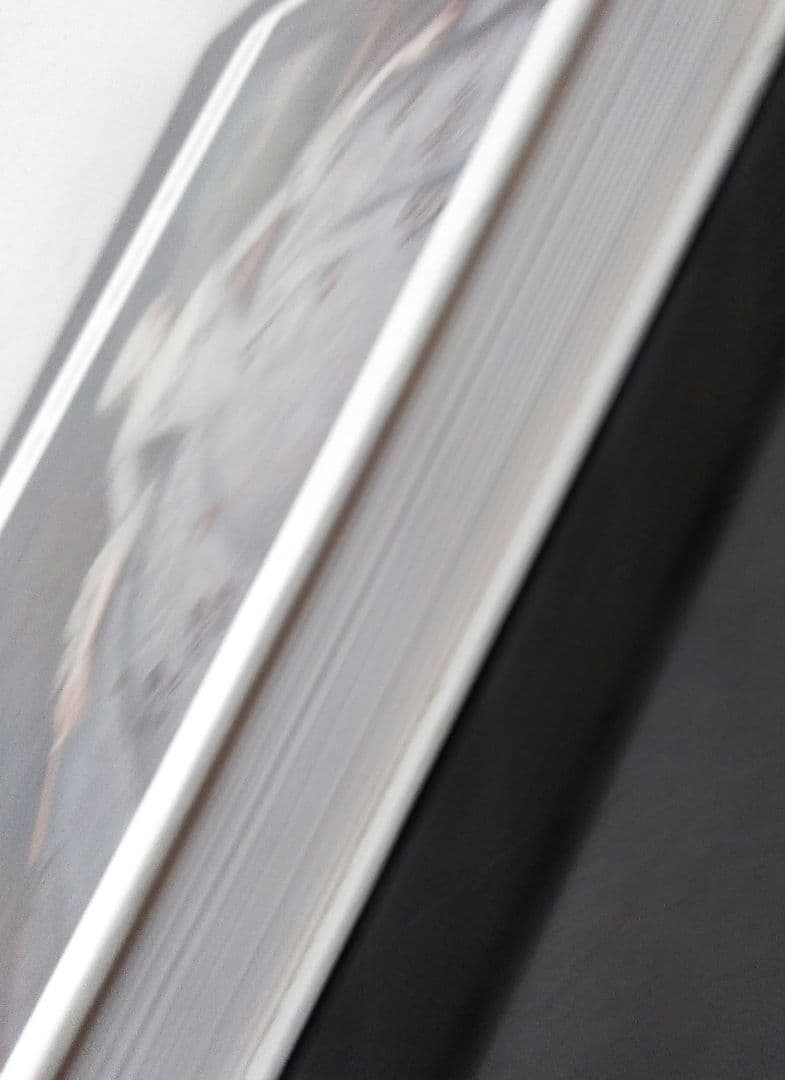 The Russian Museum Painting　ロシア美術館の絵画