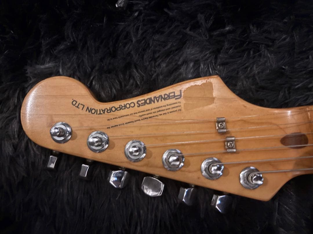 fernandes 石ロゴFST-85 ハードケース　フェルナンデス