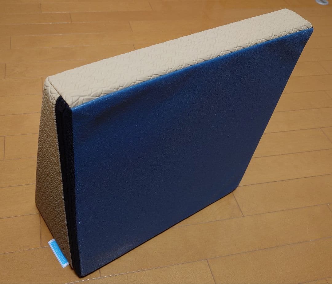 《専用》【美品】サンテプラス・フレックスクッション（Flex Cushion）