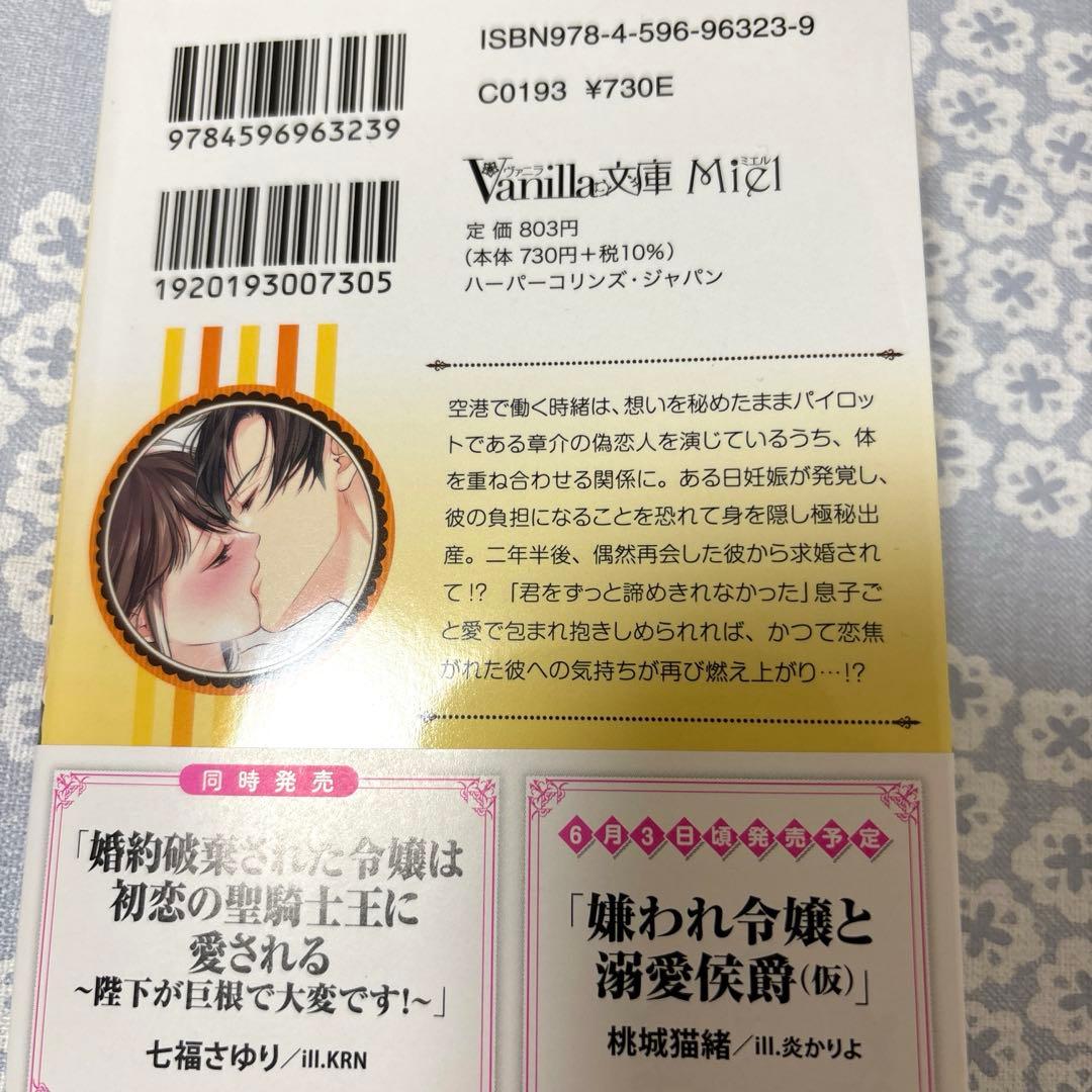 【専用】エタニティブックス・ルネッタブックス・ヴァニラ文庫ミエル　5月新刊