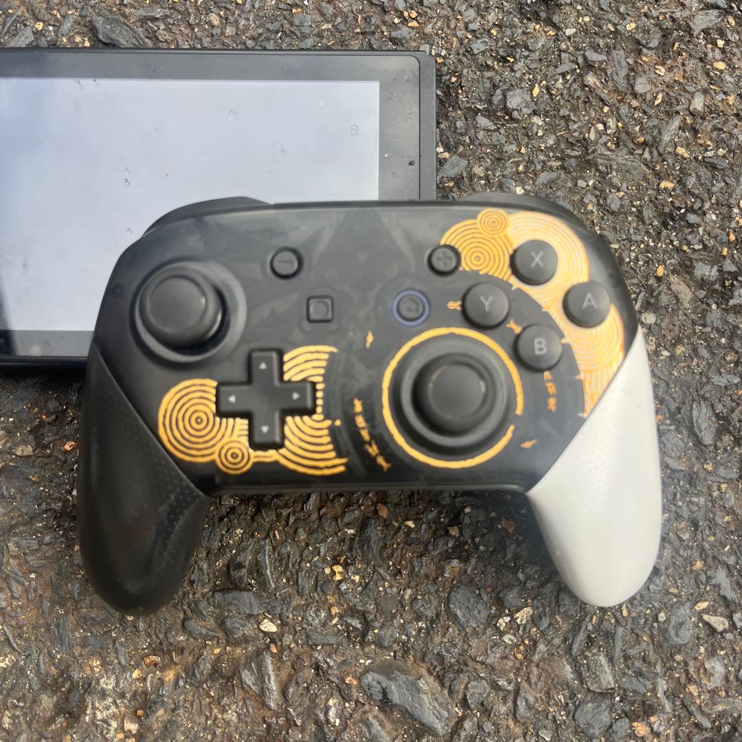 Switch プロコン付