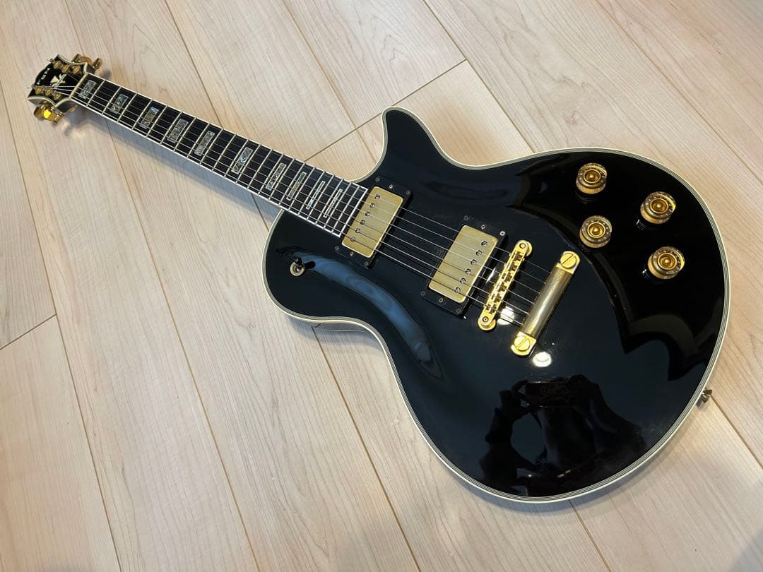 【FgN】フジゲン BAT-20CT/TTハードケース付き