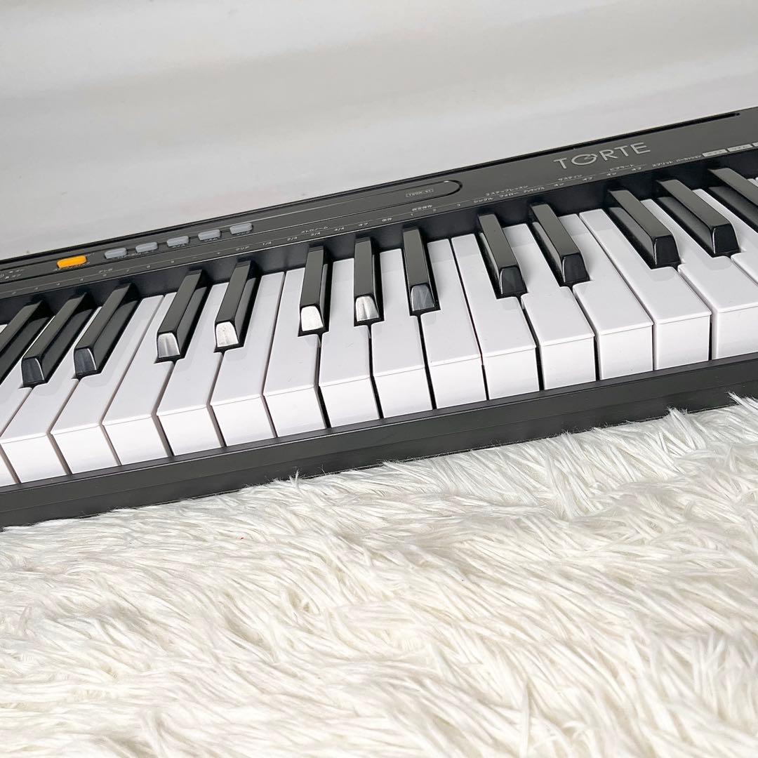 【良品】TGRTE TSDK-61 電子キーボード 61鍵盤 マイク付き