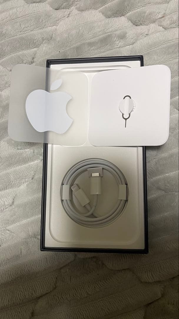 iPhone 12 Pro max ゴールド 256GB 本体 おまけ付