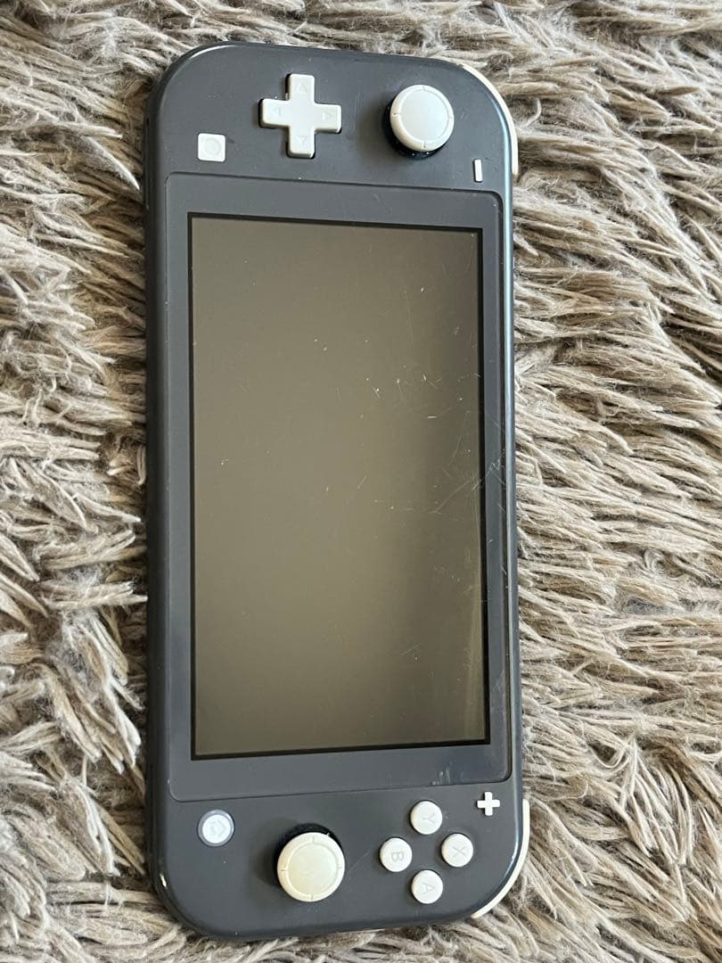⭐︎美品⭐︎Switch light グレー⭐︎2点セット