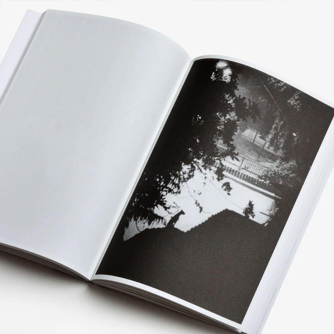 アート・デザイン・音楽 Jochen Lempert: Paare / Pairs