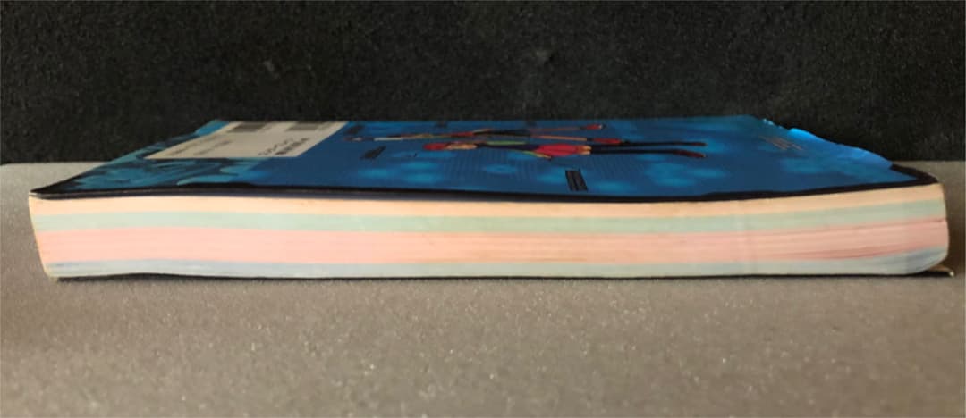 ロックマンエグゼ5 ツインリーダーズ  DSソフト+公式ガイドブック