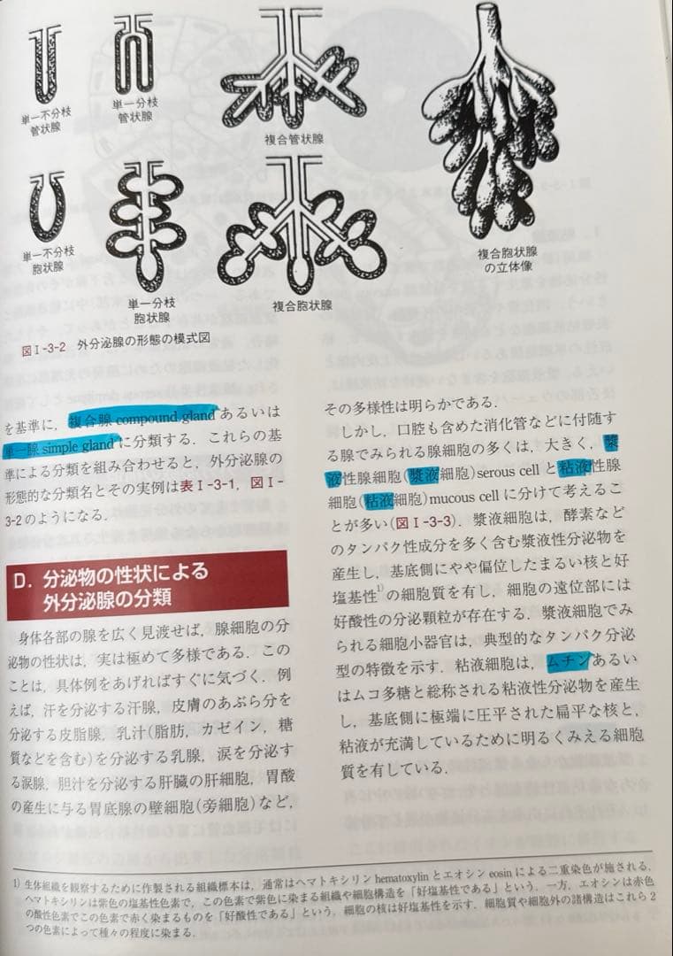【美品】組織学・口腔組織学 第4版