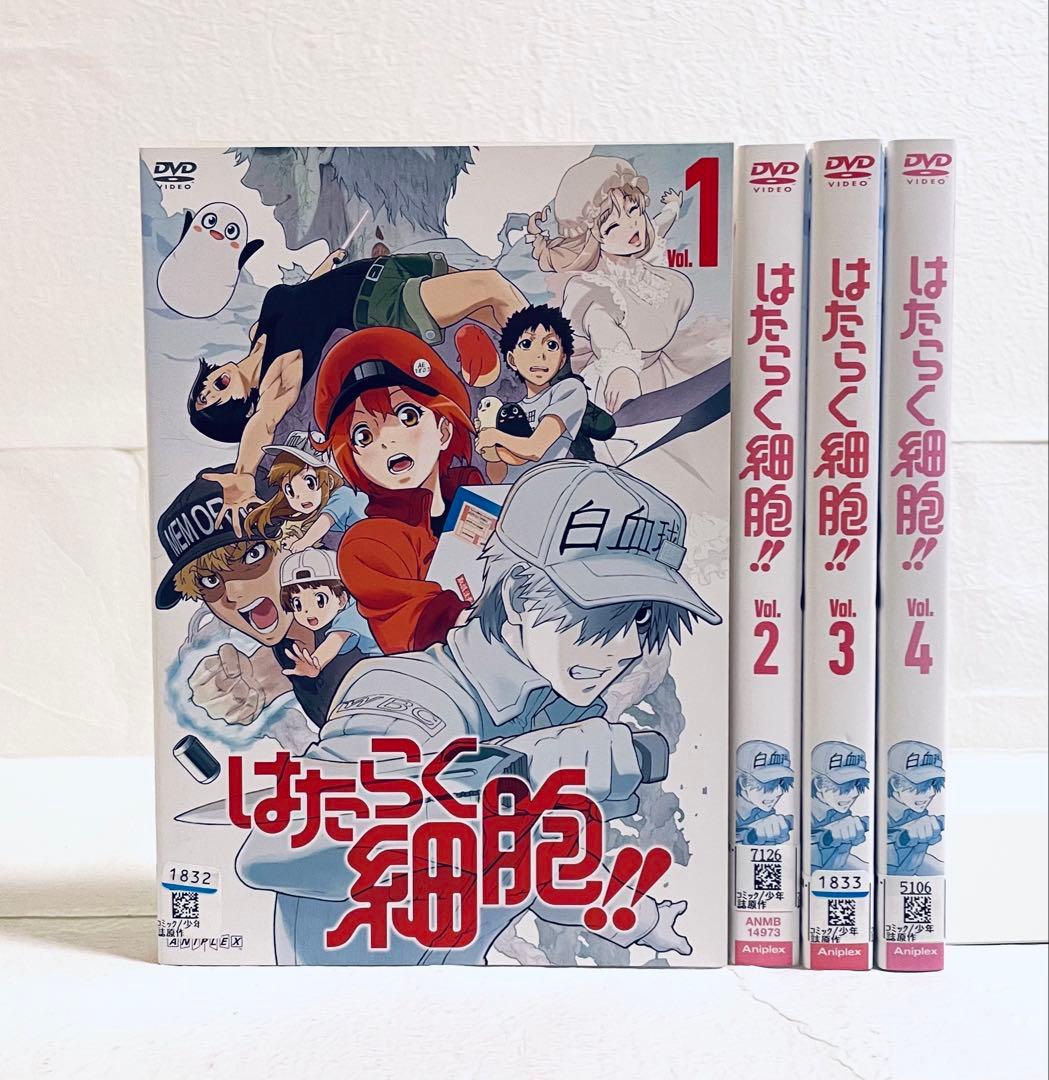 はたらく細胞!! 第２期　【全4巻】　レンタル版DVD 全巻セット　アニメ