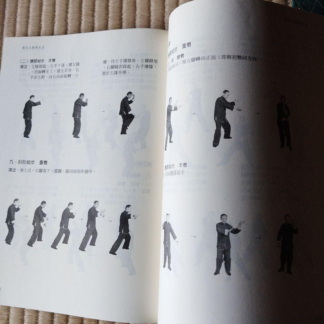 陳氏太極拳大全 三巻セット