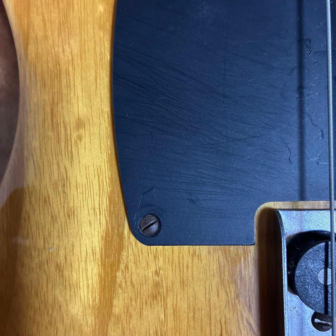 Fender Telecaster フェンダー テレキャスター ソフトケース有