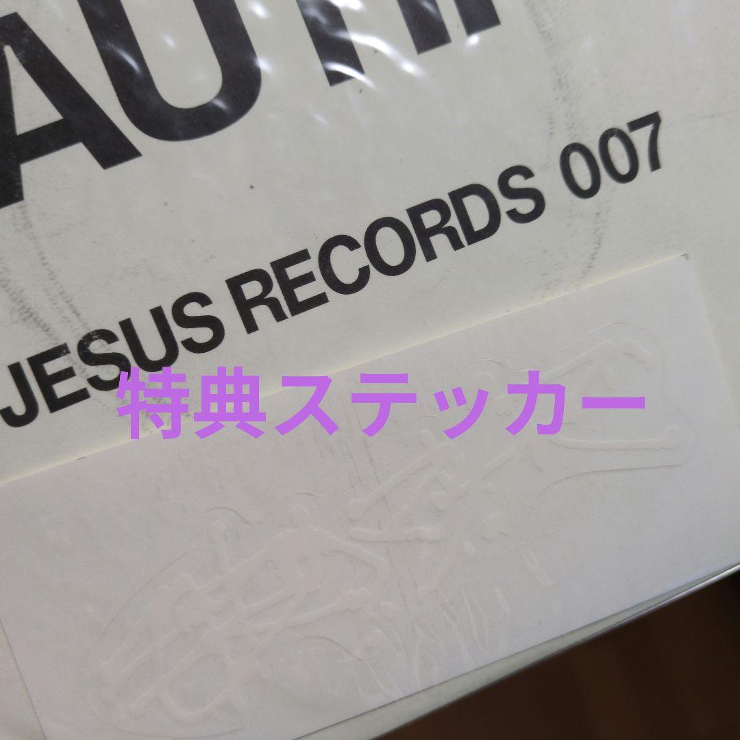 毛皮のマリーズ ビューティフル BEAUTIFUL レコード 志磨遼平