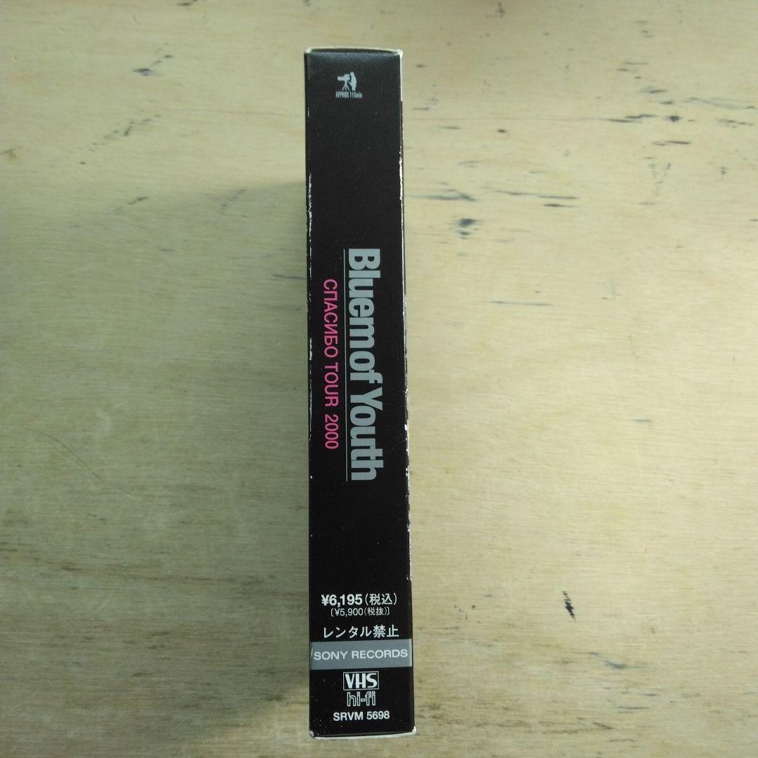 Bluem of youth　TOUR2000　VHS