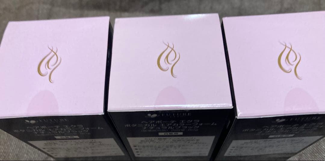☆新品未使用☆ エクラ ボタニカルヘアカラー ナチュラルブラック80g　3本