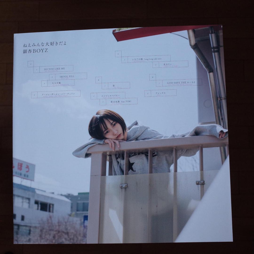 銀杏BOYZ / ねえみんな大好きだよ レコード