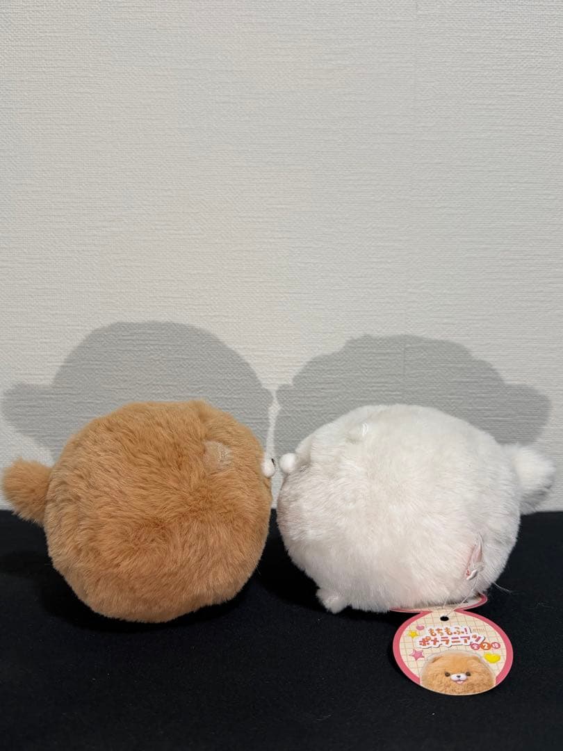 【専用】のえ様