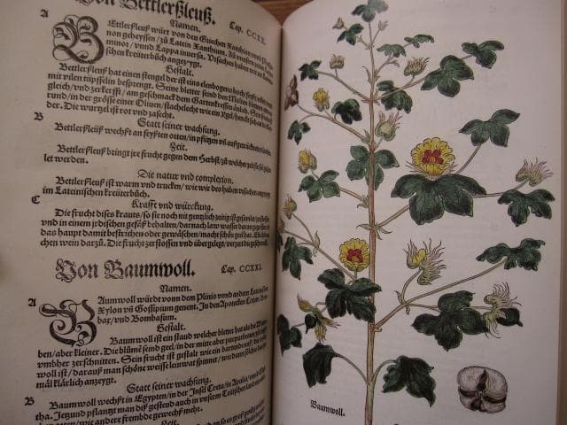 アート・デザイン・音楽 Leonhart Fuchs : The New Herbal of 1543