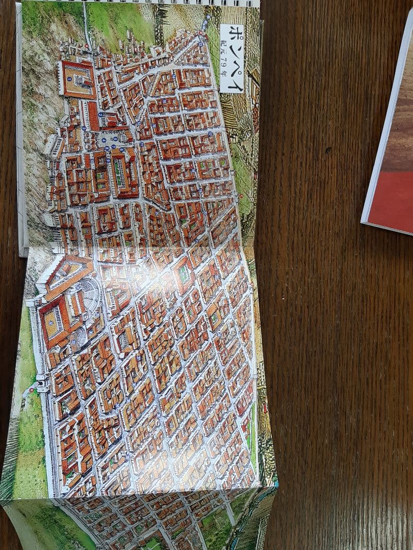観光の現地で買って来たポンペイの遺跡の本２冊