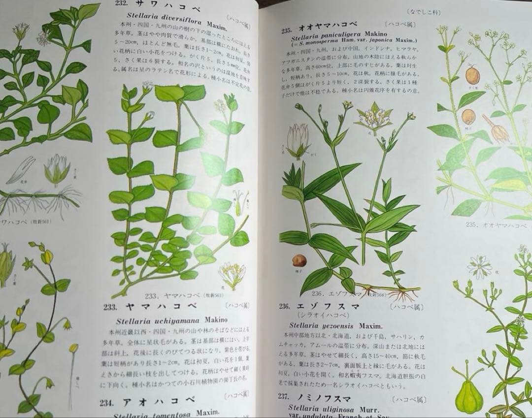 原色牧野植物大図鑑　牧野富太郎著
