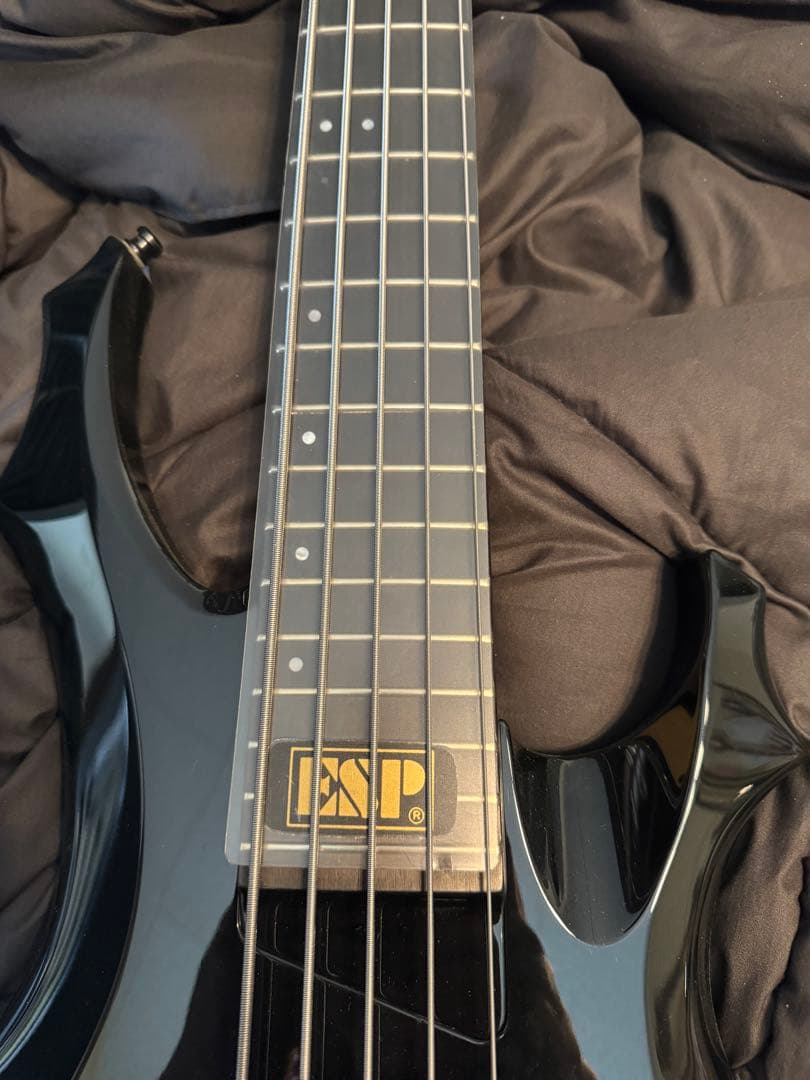 【最終値下げ‼️】ESP フォレストベース ５弦ベース