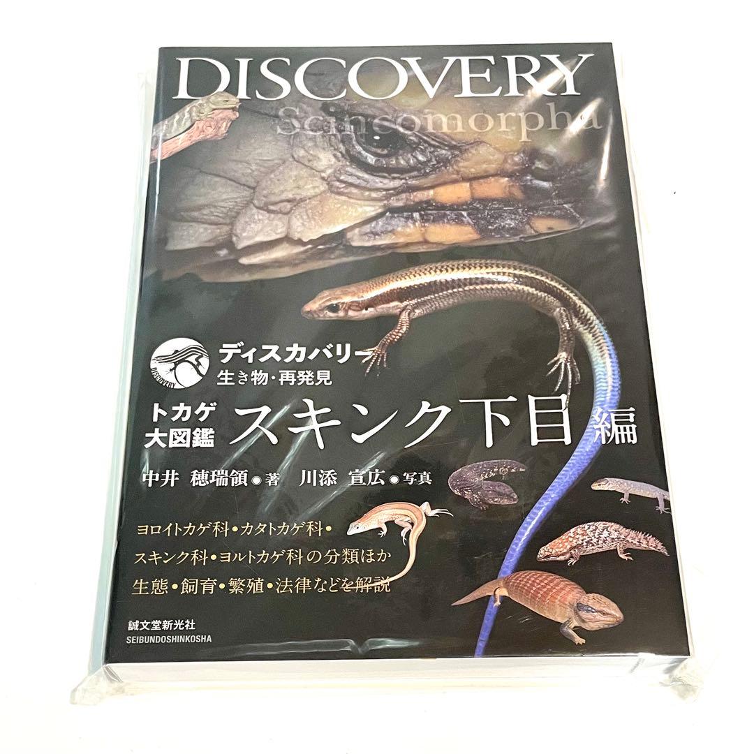 ディスカバリー スキンク下目編