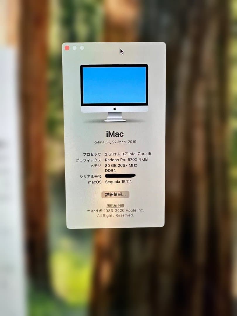【美品】iMac Retina 5K 27インチ 2019 1TBメモリ80GB