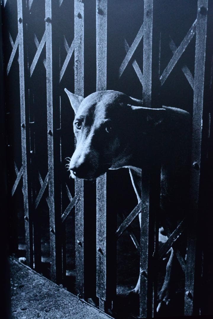 【THE TROPICS： DAIDO MORIYAMA】　森山大道　★新品