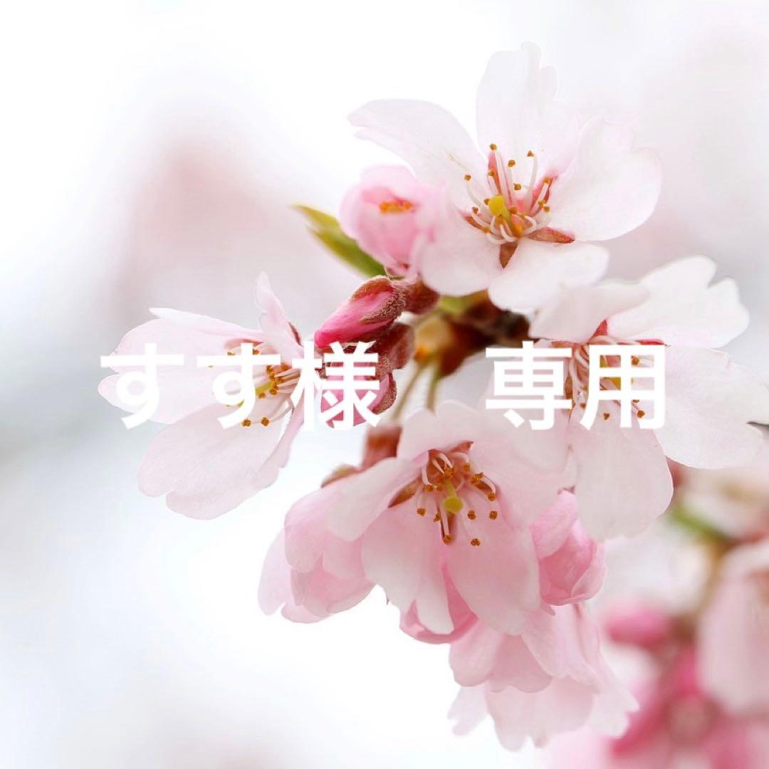 すす　別途