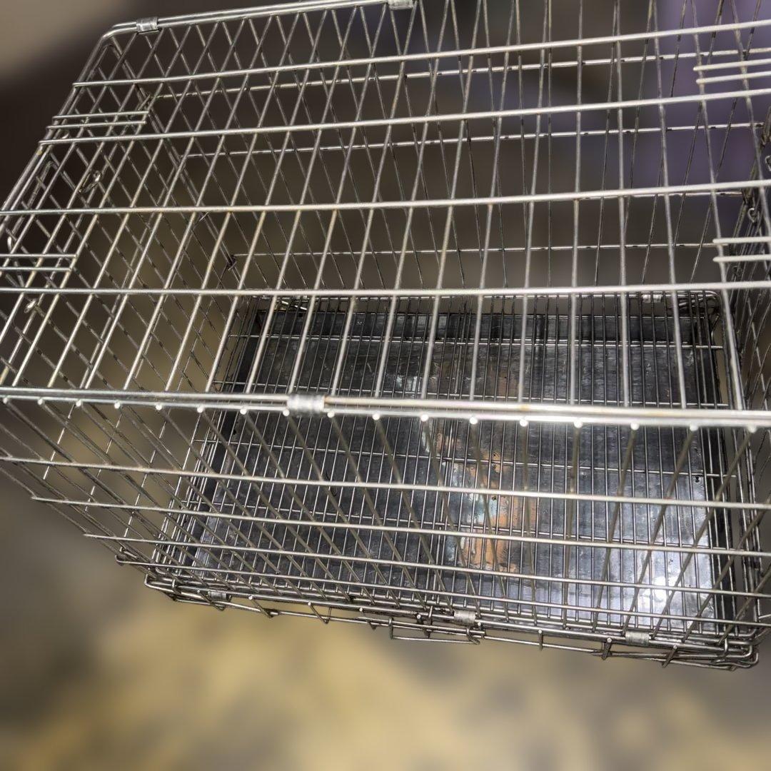 犬具の老舗東京ペットケイジ製犬用ステンレスケージ ステンレススノコ付き中古品美品