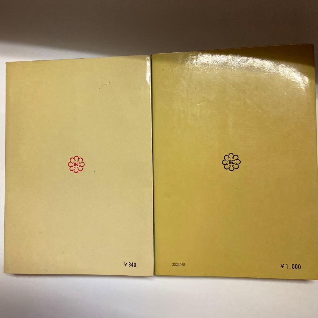 真空浄血療法　治療点解説