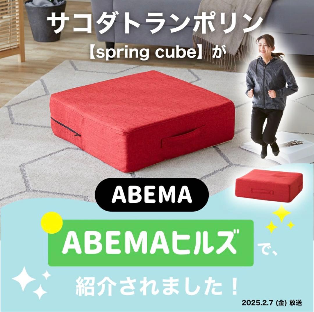 【楽天1位5冠＆5万個突破】 トランポリン クッション 高反発 58×58cm
