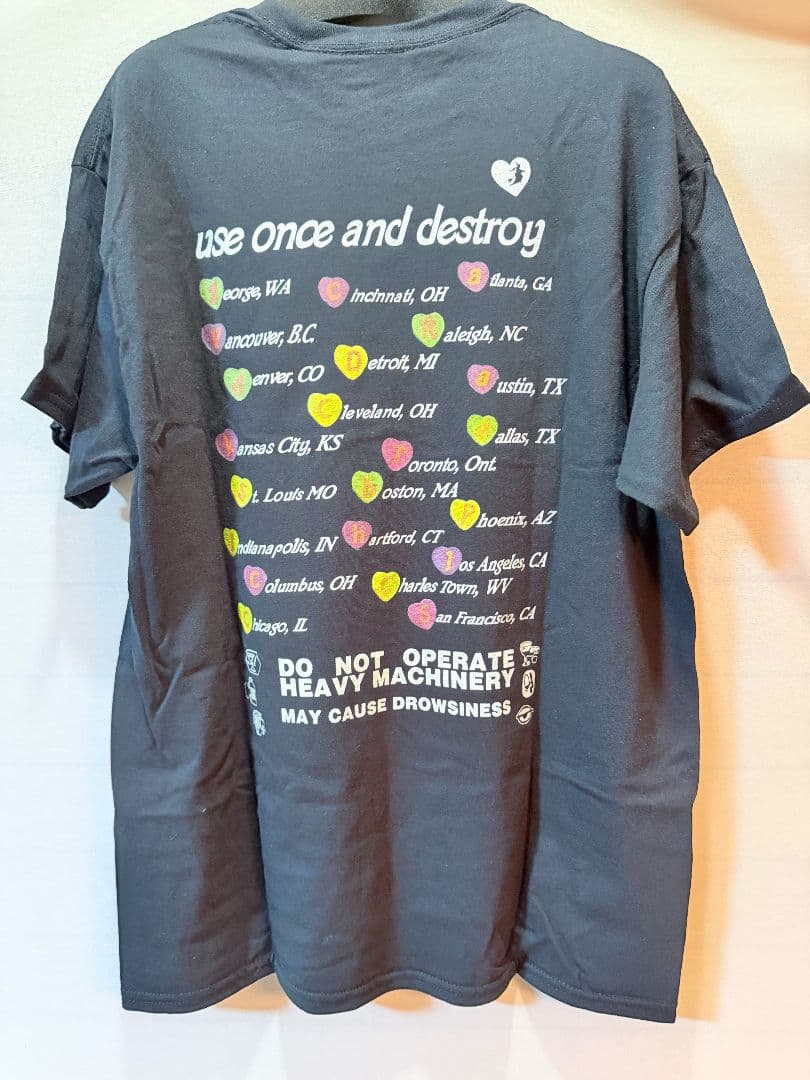 HOLE Tシャツ GILDAN Lサイズ　コートニーラブ　カート コバーン